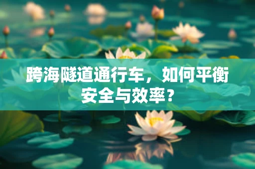 跨海隧道通行车，如何平衡安全与效率？