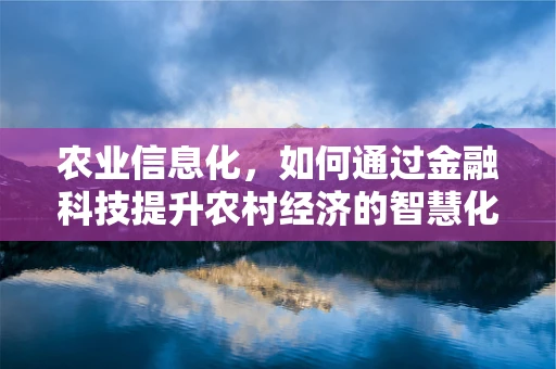 农业信息化，如何通过金融科技提升农村经济的智慧化水平？