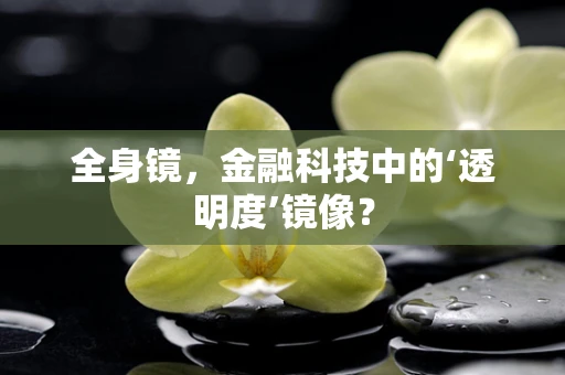 全身镜，金融科技中的‘透明度’镜像？