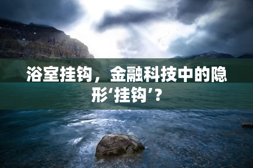浴室挂钩，金融科技中的隐形‘挂钩’？