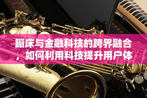 蹦床与金融科技的跨界融合，如何利用科技提升用户体验？