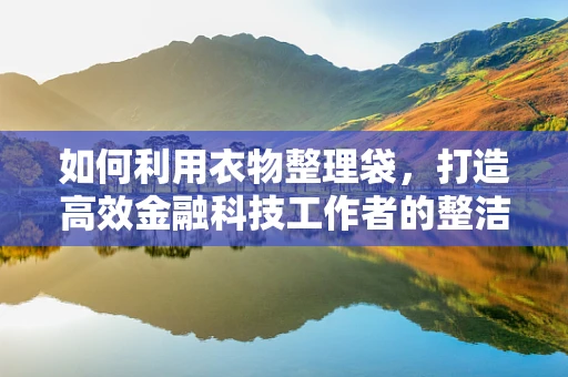 如何利用衣物整理袋，打造高效金融科技工作者的整洁办公空间？