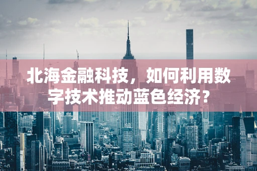 北海金融科技，如何利用数字技术推动蓝色经济？