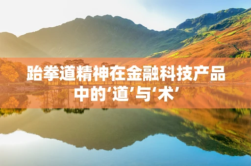 跆拳道精神在金融科技产品中的‘道’与‘术’