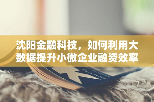 沈阳金融科技，如何利用大数据提升小微企业融资效率？