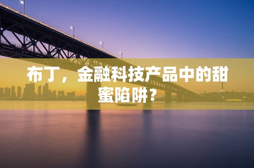 布丁，金融科技产品中的甜蜜陷阱？