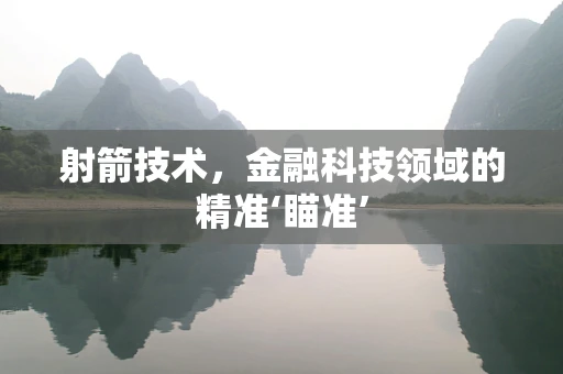 射箭技术，金融科技领域的精准‘瞄准’
