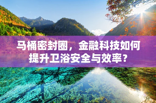 马桶密封圈，金融科技如何提升卫浴安全与效率？