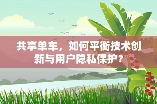 共享单车，如何平衡技术创新与用户隐私保护？