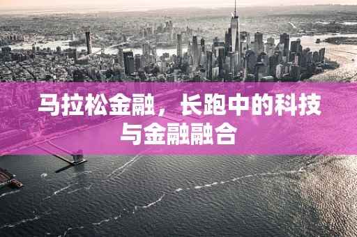 马拉松金融，长跑中的科技与金融融合