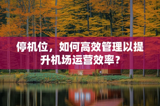 停机位，如何高效管理以提升机场运营效率？