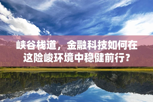 峡谷栈道，金融科技如何在这险峻环境中稳健前行？