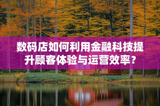 数码店如何利用金融科技提升顾客体验与运营效率？