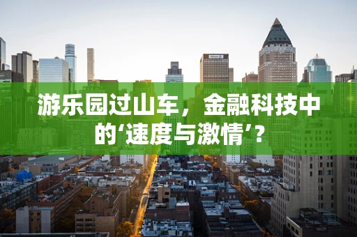 游乐园过山车，金融科技中的‘速度与激情’？