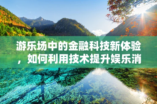 游乐场中的金融科技新体验，如何利用技术提升娱乐消费的便捷性与安全性？
