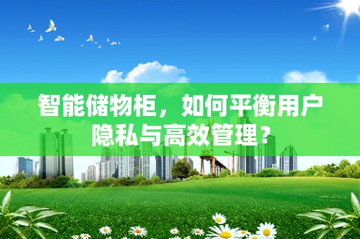 智能储物柜，如何平衡用户隐私与高效管理？