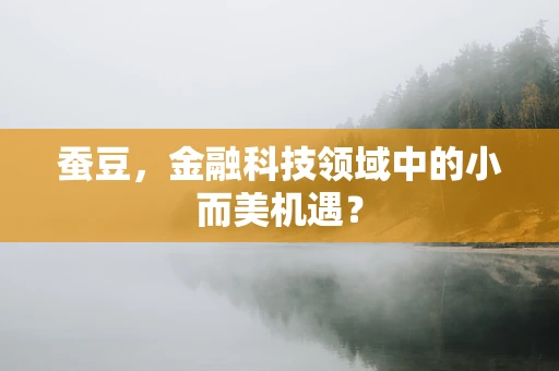 蚕豆，金融科技领域中的小而美机遇？