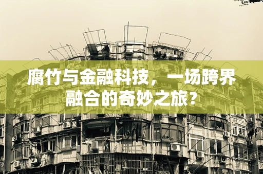 腐竹与金融科技，一场跨界融合的奇妙之旅？
