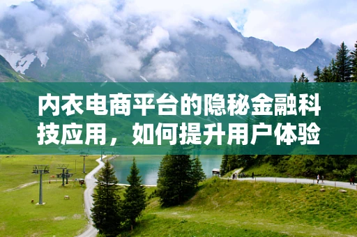 内衣电商平台的隐秘金融科技应用，如何提升用户体验与安全？