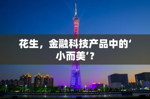 花生，金融科技产品中的‘小而美’？