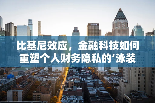 比基尼效应，金融科技如何重塑个人财务隐私的‘泳装’？