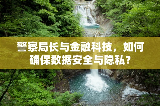 警察局长与金融科技，如何确保数据安全与隐私？