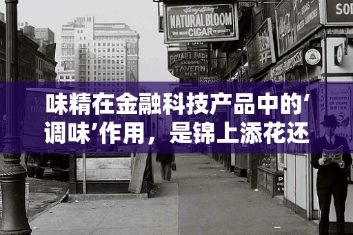 味精在金融科技产品中的‘调味’作用，是锦上添花还是画蛇添足？