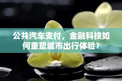 公共汽车支付，金融科技如何重塑城市出行体验？