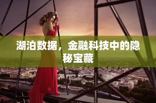 湖泊数据，金融科技中的隐秘宝藏