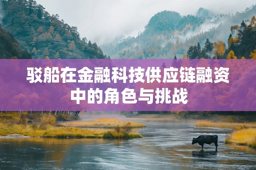 驳船在金融科技供应链融资中的角色与挑战