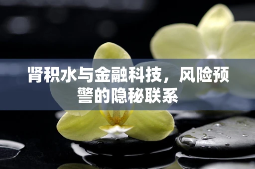 肾积水与金融科技，风险预警的隐秘联系