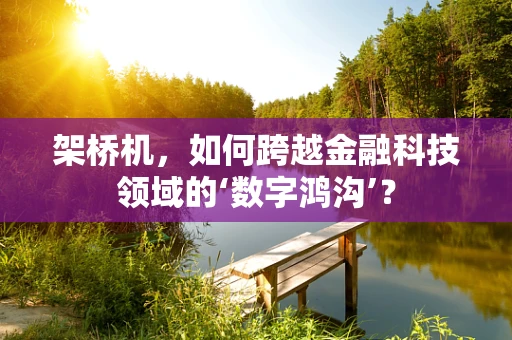 架桥机，如何跨越金融科技领域的‘数字鸿沟’？