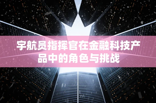 宇航员指挥官在金融科技产品中的角色与挑战