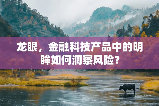 龙眼，金融科技产品中的明眸如何洞察风险？