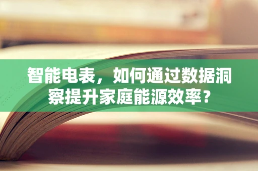 智能电表，如何通过数据洞察提升家庭能源效率？