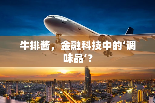 牛排酱，金融科技中的‘调味品’？