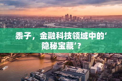 黍子，金融科技领域中的‘隐秘宝藏’？
