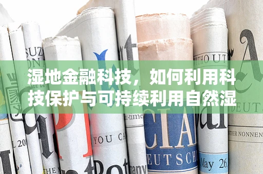 湿地金融科技，如何利用科技保护与可持续利用自然湿地？