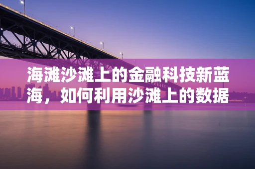 海滩沙滩上的金融科技新蓝海，如何利用沙滩上的数据提升用户体验？