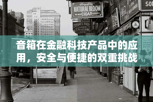 音箱在金融科技产品中的应用，安全与便捷的双重挑战？