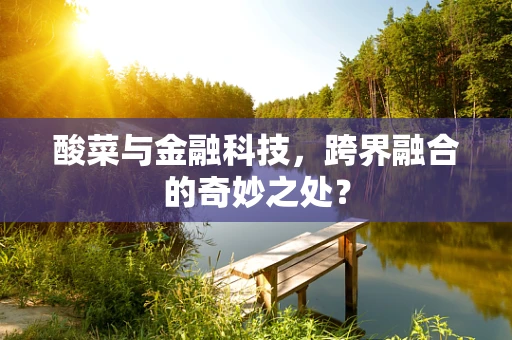 酸菜与金融科技，跨界融合的奇妙之处？
