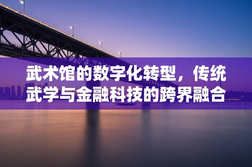 武术馆的数字化转型，传统武学与金融科技的跨界融合？