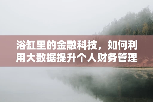 浴缸里的金融科技，如何利用大数据提升个人财务管理？