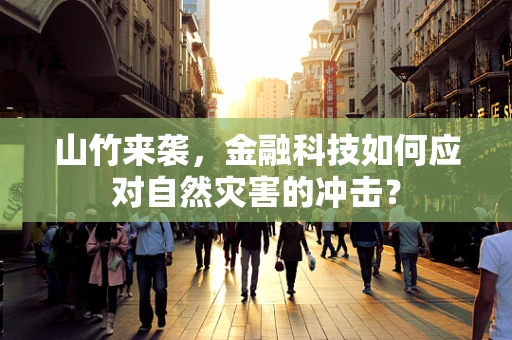 山竹来袭，金融科技如何应对自然灾害的冲击？