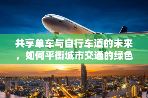 共享单车与自行车道的未来，如何平衡城市交通的绿色与效率？