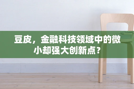 豆皮，金融科技领域中的微小却强大创新点？