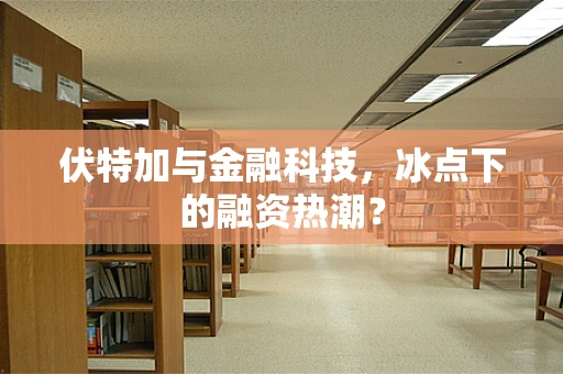 伏特加与金融科技，冰点下的融资热潮？
