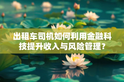 出租车司机如何利用金融科技提升收入与风险管理？