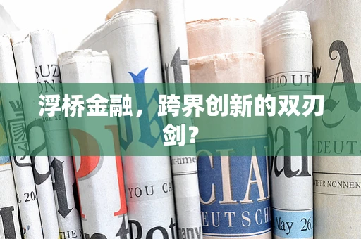 浮桥金融，跨界创新的双刃剑？