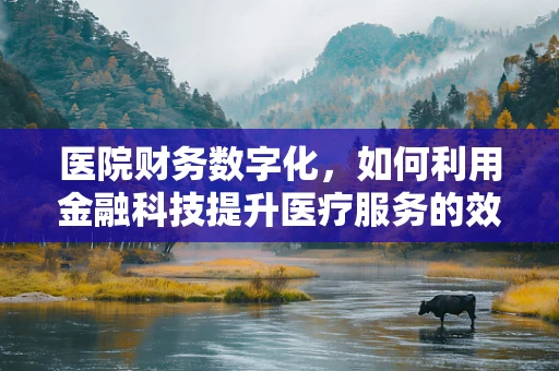 医院财务数字化，如何利用金融科技提升医疗服务的效率与透明度？